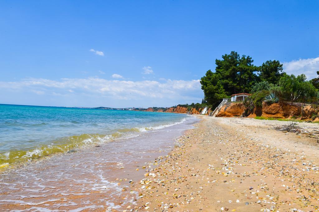 Agios Mamas Resort Nea Poteidaia Dış mekan fotoğraf